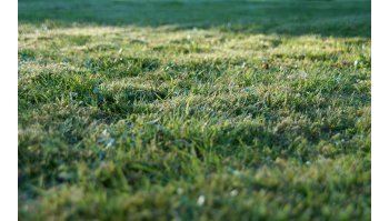 Accessori per decespugliatori: come scegliere quelli giusti