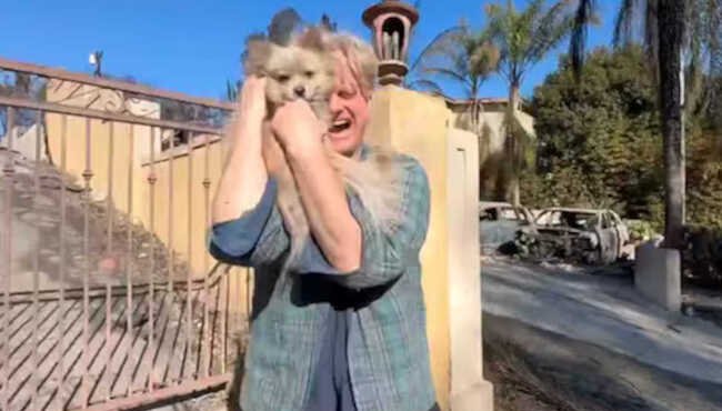 Un abbraccio tra le macerie: il recupero di Oreo, il cane di Casey Colvin dopo l'incendio a Los Angeles