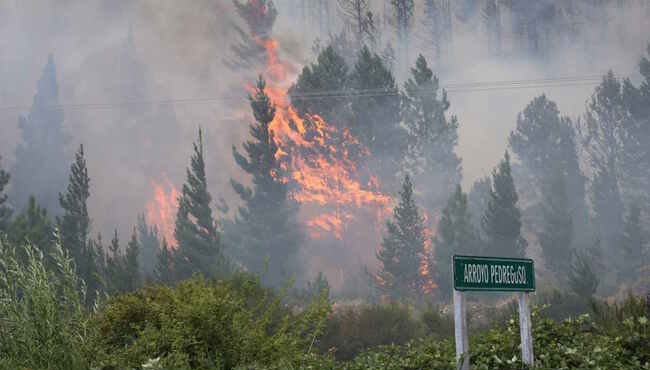 L'incendio in Patagonia: un'emergenza ignorata che ha devastato oltre 13mila ettari di territorio