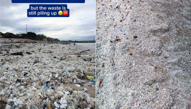 Emergenza rifiuti a Bali: la plastica invade le spiagge e i volontari si mobilitano